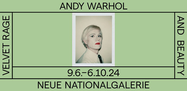 Andy Warhol Velvet Rage and Beauty 