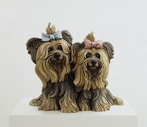 yorkshire terriers