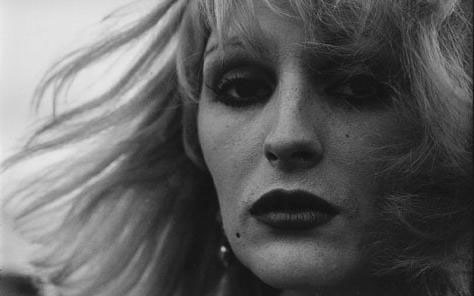 Candy Darling by Laura Rubin