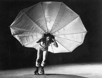 robert rauschenberg in pelican