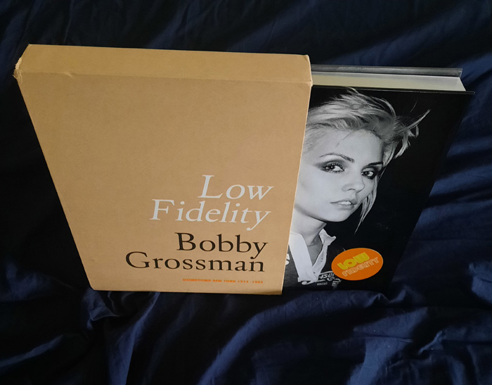 Low Fidelity by Bobby Grossman cover with Debbie Harry of Blondie.